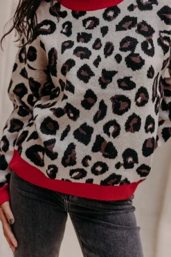 Pull CHATON-mlle Cabestan Hot